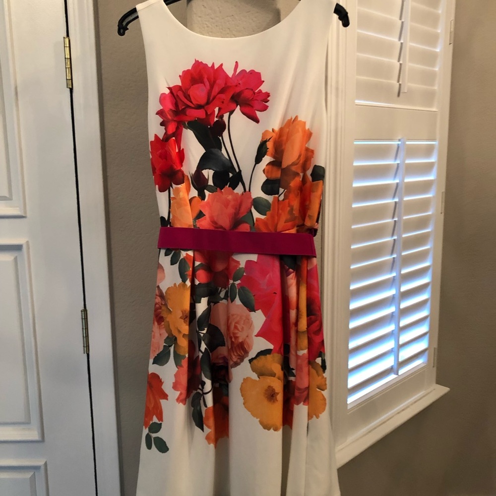 NWT Fit-Flare floral dress